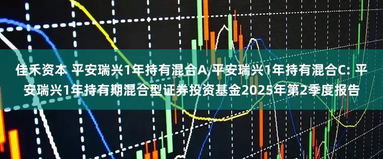 佳禾资本 平安瑞兴1年持有混合A,平安瑞兴1年持有混合C: 平安瑞兴1年持有期混合型证券投资基金2025年第2季度报告