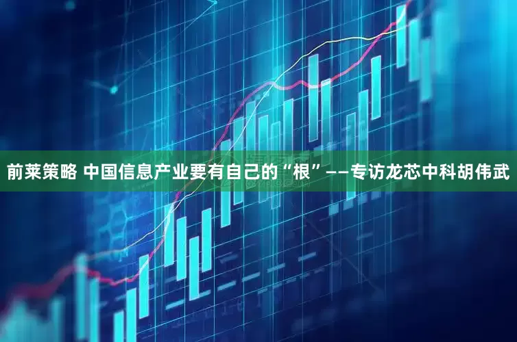 前莱策略 中国信息产业要有自己的“根”——专访龙芯中科胡伟武