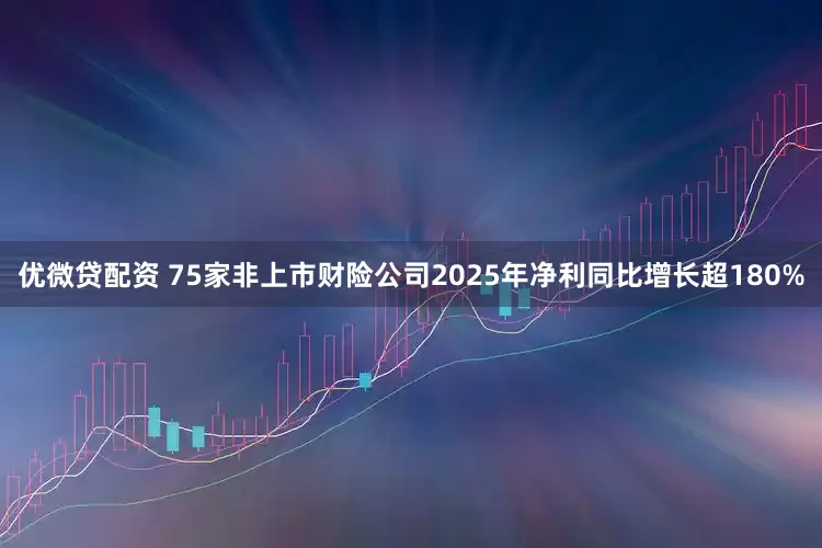 优微贷配资 75家非上市财险公司2025年净利同比增长超180%